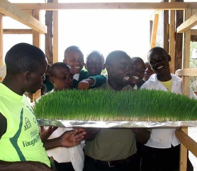 I ragazzi mostrano le piantine coltivate al Boys Town Africa